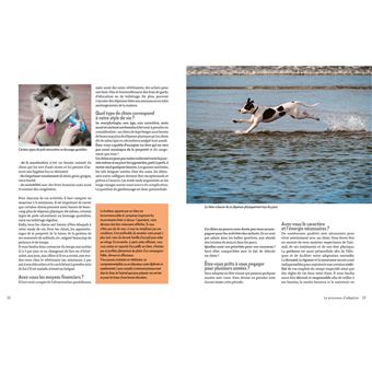 Adopter un chien en refuge