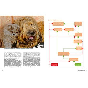 Adopter un chien en refuge