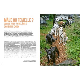 Adopter un chien en refuge