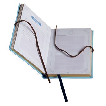 Mon carnet secret : messages de mon ange gardien