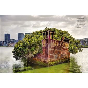Vestiges d'un monde abandonné