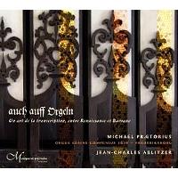 Auch Auff Orgeln-Eine Kunst Der Transkription