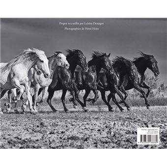 Lorenzo Black & White