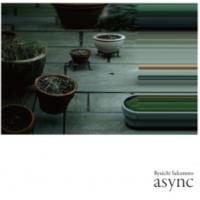Async/digisleeve