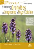 À la découverte des orchidées en Languedoc et pays catalan