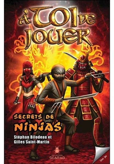 A toi de jouer,3:secrets de ninjas