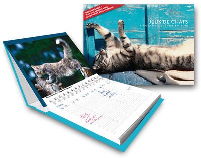 Agenda Calendrier Jeux De Chats 15 Broche Collectif Achat Livre Fnac