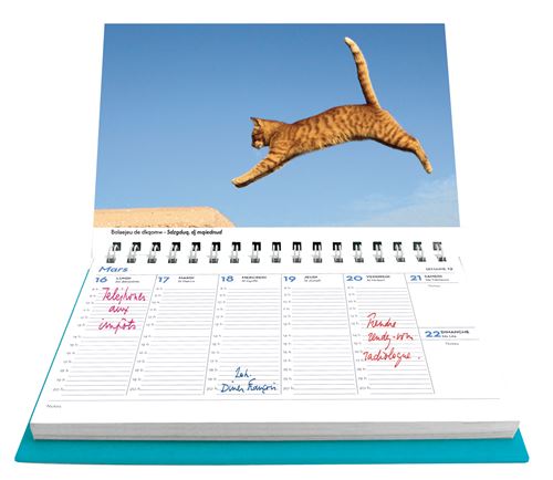 Agenda Calendrier Jeux De Chats 15 Broche Collectif Achat Livre Fnac