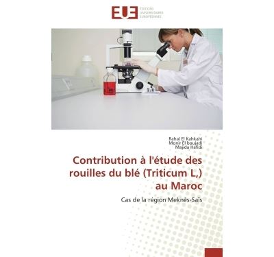 Contribution a l'etude des rouilles du ble