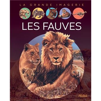 rencontre avec les fauves
