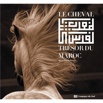 Le cheval, trésor du Maroc