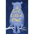 A GIRL CALLED OWL - broché - Inconnus - Achat Livre ou ebook | fnac