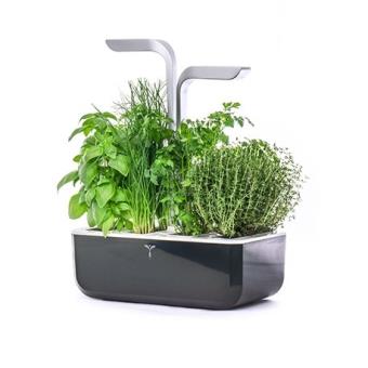 Potager Véritable Smart Soft Black