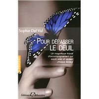 Python pour les nuls, 4e édition - John Paul Mueller - 4ème - Librairie  Eyrolles