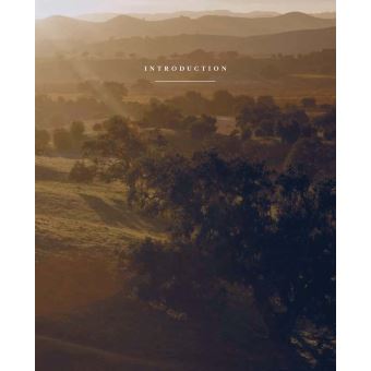 La sagesse du dimanche - Leçons spirituelles tirées de l'émission Super Soul Sunday