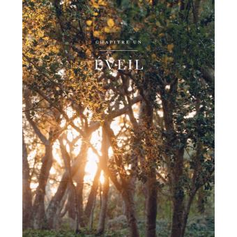 La sagesse du dimanche - Leçons spirituelles tirées de l'émission Super Soul Sunday