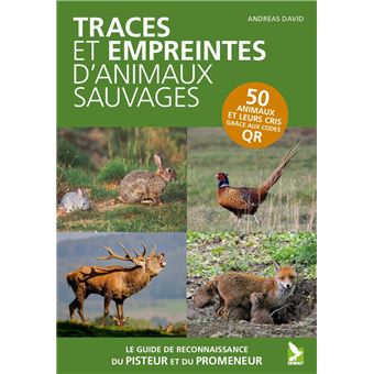 Traces et empreintes d'animaux sauvages