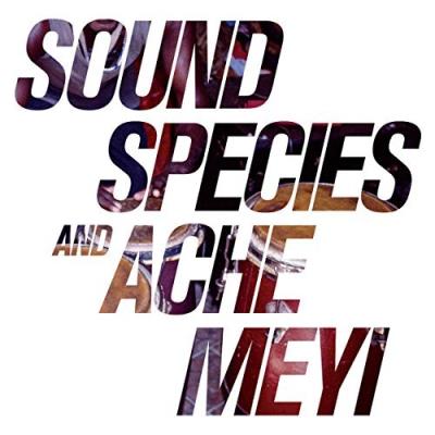 Soundspecies and ache meyi
