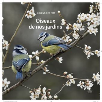 Calendrier Oiseaux de nos jardins 2026
