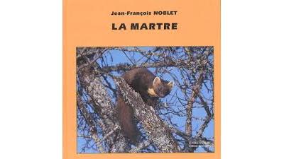 La martre des pins