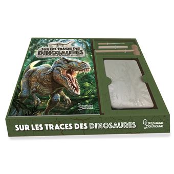 Sur les traces des dinosaures