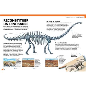 Sur les traces des dinosaures