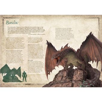 L'Univers du Sorceleur (Witcher) : Codex Le Sorceleur