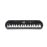 Casio Keyboard 3 Oct. Sa-77