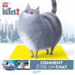 Comme des bêtes 2-Comment être un chien ou un chat