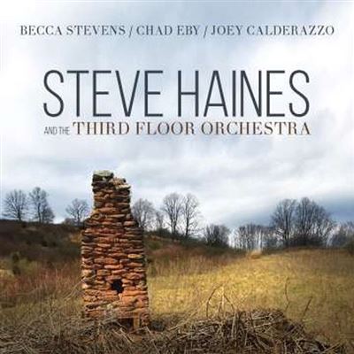 Steve haines and the third floor orchestra