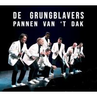 PANNEN VAN T DAK