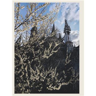 Racine - Un Japonais à Reims