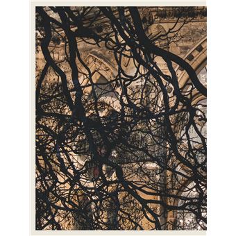 Racine - Un Japonais à Reims