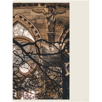 Racine - Un Japonais à Reims