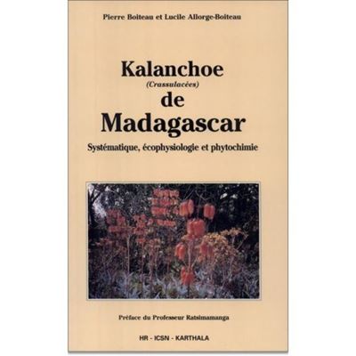 Kalanchoe de madagascar
