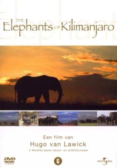 ELEPHANTS OF KILIMANJARO-VN