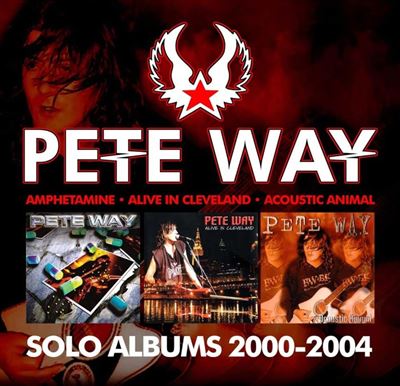 Solo Albums : 2000-2004 Coffret