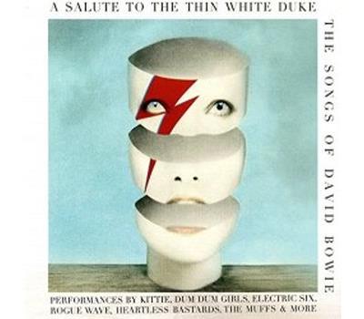 A salute to the thin white duke The songs of David Bowe