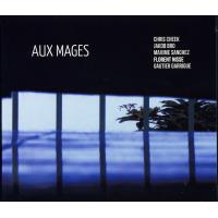 Aux mages