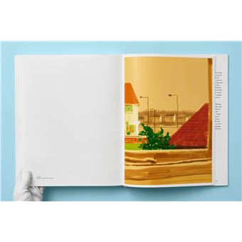 David Hockney. My Window