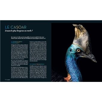 Enigmatiques - La vie secrète des animaux les plus impressionnants