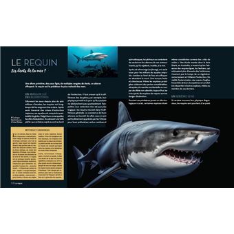 Enigmatiques - La vie secrète des animaux les plus impressionnants