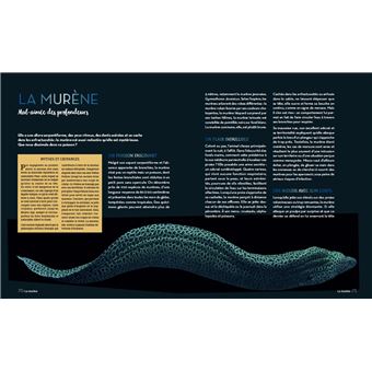 Enigmatiques - La vie secrète des animaux les plus impressionnants