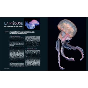 Enigmatiques - La vie secrète des animaux les plus impressionnants