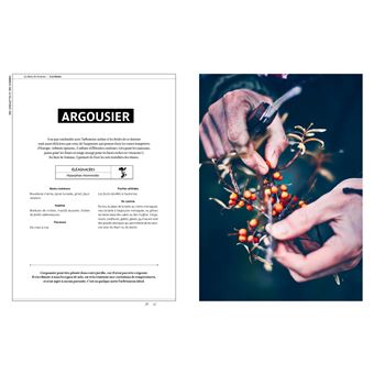 Des cueillettes et des hommes