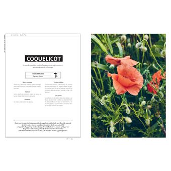 Des cueillettes et des hommes