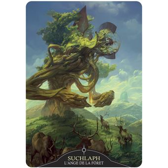 Coffret Angelarium - L'Oracle des Émanations
