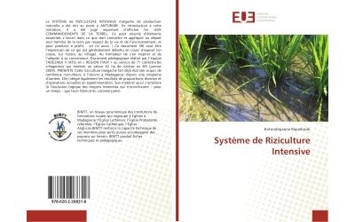 Système de Riziculture Intensive