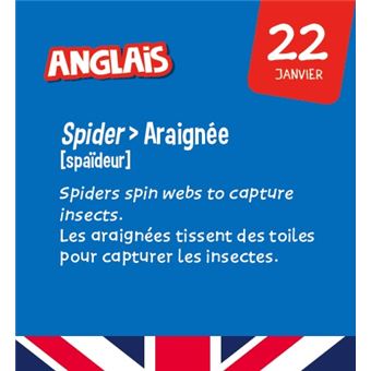 Les incollables - Mini calendrier - Toute mon année de CE1