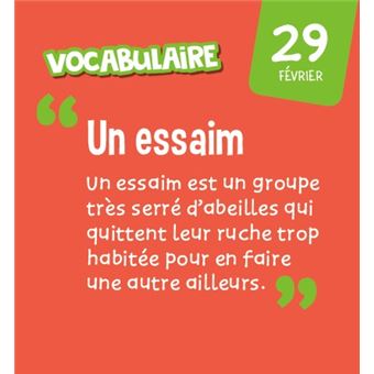 Les incollables - Mini calendrier - Toute mon année de CE1